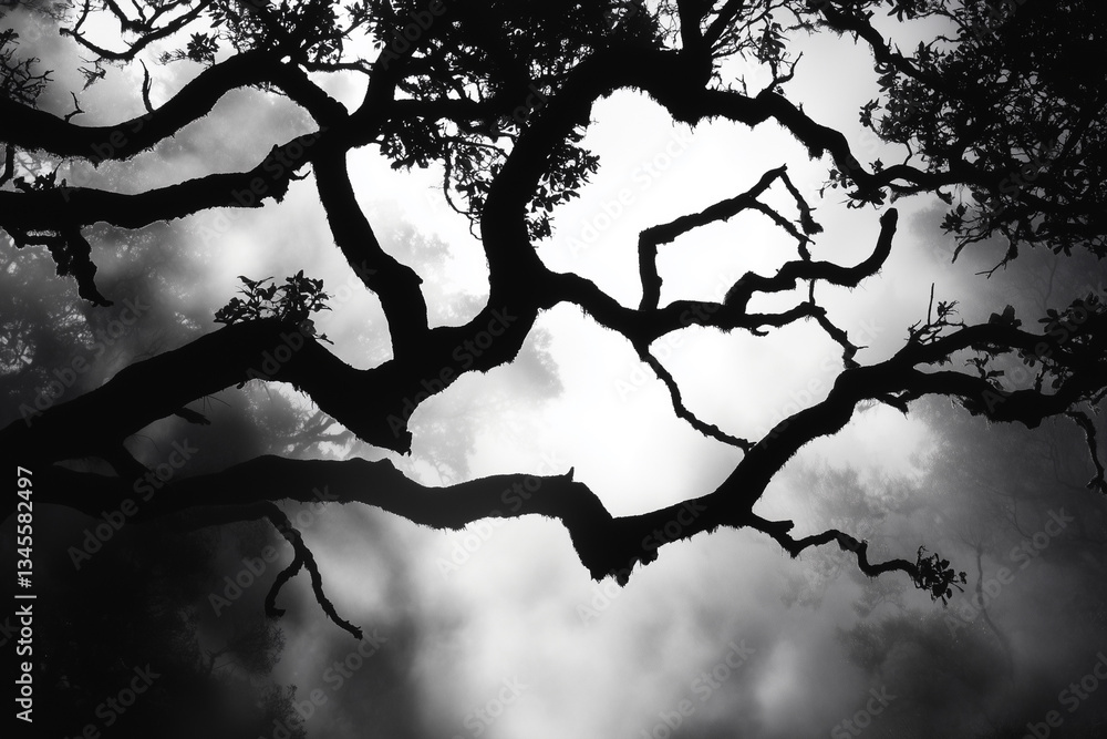 Aufkleber tree with a dark trunk and branches. the tree is in the middle of a cloudy sky