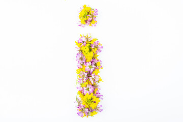 Letter I made of flowers on a white background