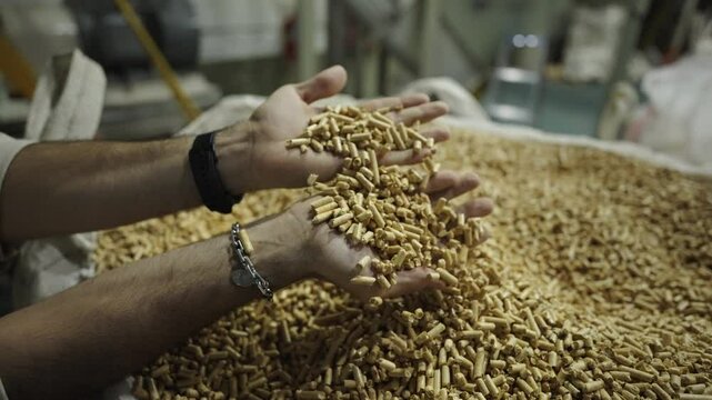 Worker holding wood pellets in biomass production plant, sustainable energy industry