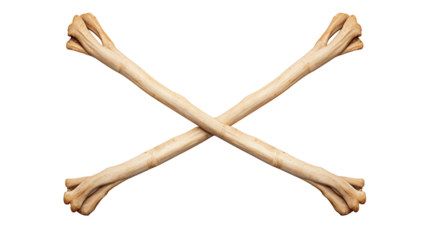 Crossbones Symbol Halloween Pirate Danger Imagery