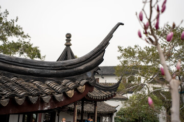 Traditional Chinese garden in Suzhou, China in the spring