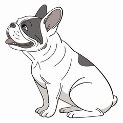 French Bulldog Vector Illustration