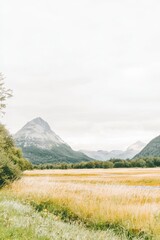 Fototapeta premium A stunning mountain landscape featuring golden fields under a cloudy sky. This serene setting embodies the beauty of nature and quiet tranquility. Perfect for travel and outdoor themes.