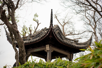 Traditional Chinese garden in Suzhou, China in the spring