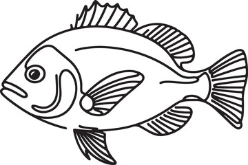Detailed Line Drawing of Snapper Fish