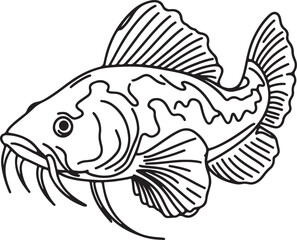 Stunning Line Drawing of Loach Fish
