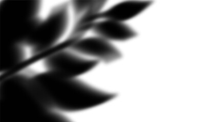 Abstract monochrome leaf shadow art. Dark leaves against a transparent background. PNG, Cutout, or clipping path.