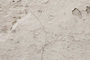 Light Gray Stucco Wall Texture. Abstract Background