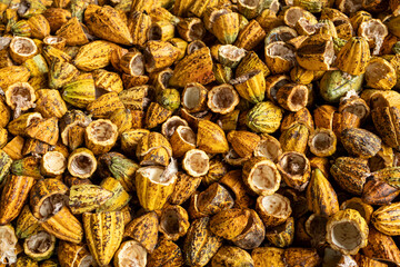 Cocoa beans and cocoa pod on a wooden surface.