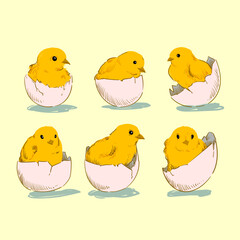 Hand drawn sketch little chickens set vector illustration. cute baby chicks drawing collection engraved retro style.