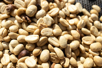 Coffee beans drying in the sun. Coffee plantations at coffee farm