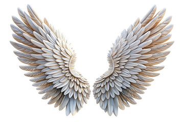 Obraz premium Closeup view of a pair of exquisitely detailed, white angelic wings against a black background