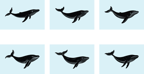 Obraz premium Humpback Whale Silhouette vector