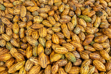 Cocoa beans and cocoa pod on a wooden surface.