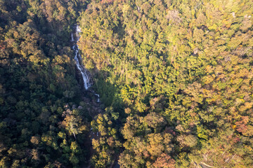 Scenic topdown shot of a deciduous forest changing leaves at the height of autumn. Picturesque flying view of the vibrant