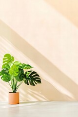 Monstera plant in sunlit room corner with soft shadows on beige wall