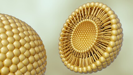 A 3D rendering of liposome in a cross-sectional, revealing its internal structure. The spherical vesicles made of a lipid bilayer.