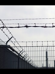 Stark barbed wire fence stretches endlessly under a bleak sky. AI Generated
