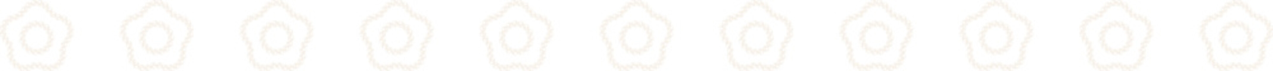 Aesthetic Coquette Flower Pearl Border