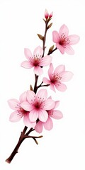 Obraz premium Delicate pink petals and dark brown branches