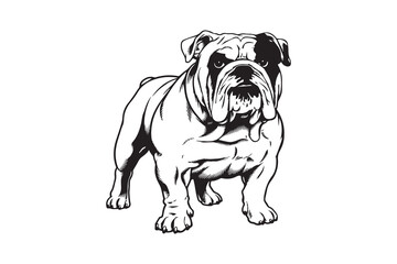 Bulldog Silhouette Vector