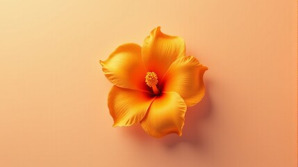 Naklejka premium Radiant Orange Hibiscus Bloom Close Up with Warm Background