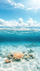 Naklejka premium Clear Blue Water Above Colorful Coral Reef Under Bright Sky