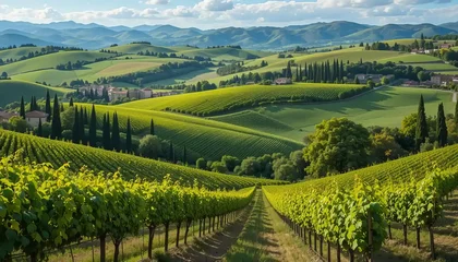Fototapete Rund Italian Countryside Tuscany Vineyards © Outside Studio