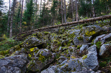 Southern Urals, stone placer on the ascent to the Aigir rocks (Teeth of the Shurale).