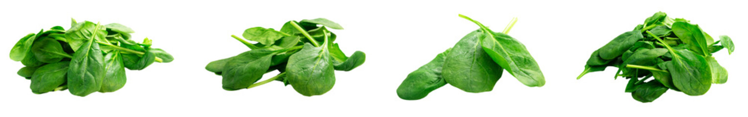 Szpinak świeży zielony bez tła, liście. Zestaw