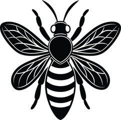 Bee honey bee isolated on a white background
