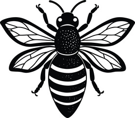 Bee honey bee isolated on a white background
