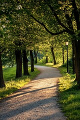 A peaceful walk along a tree-lined path in a quiet park, the evening air cool and refreshing