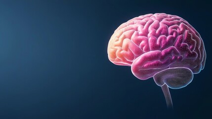 Exploring human brain function 3d illustration digital art modern technology abstract view