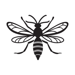 Malaria mosquito vector 