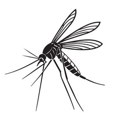 Malaria mosquito vector 