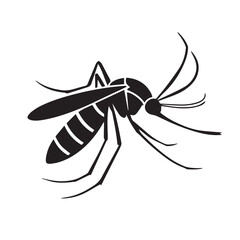 Malaria mosquito vector 