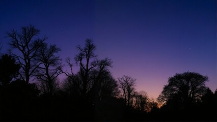 Generative A.I. creates this serene twilight scene, blending deep blues and silhouettes of trees against a fading sunset