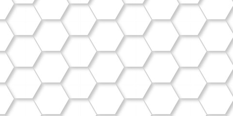 Abstract white Hexagonal Background. Luxury White Pattern. Vector Illustration. 3D Futuristic minimal honeycomb mosaic white background. geometric mesh cell texture. modern futuristic wallpaper.
