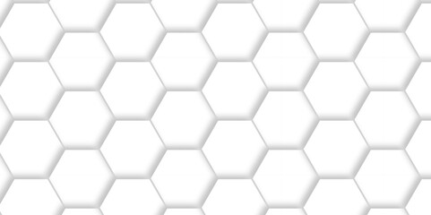 White Hexagonal Background. Luxury White Pattern. Vector Illustration. 3D Futuristic abstract honeycomb mosaic white background. geometric mesh cell texture. modern futuristic wallpaper.