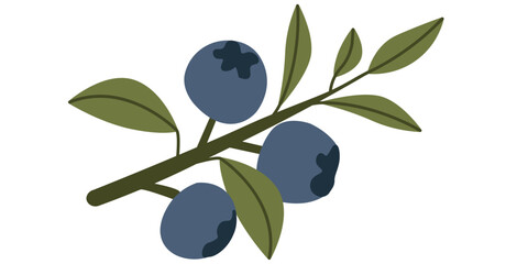 Illustration of a Blueberry Branch with Leaves in a Minimalist Style