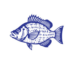 Cod fish logo design emblem hand drawn isolated vector illustration.