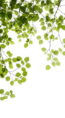 Illustration of Lush Green Leaves on Transparent Background Fresh Foliage Creating a Natural Frame Border Design Seasonal Botanical Texture Green Leaves