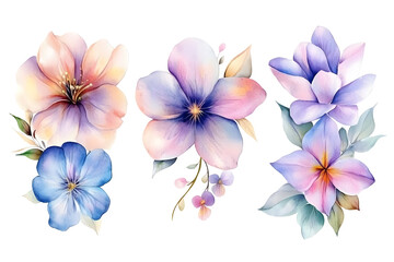 Watercolor Illustration of Delicate Floral Elements on Transparent Background Featuring Pink Purple and Blue Flowers Floral Design for Spring Wedding and Botanical Art