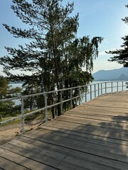 wooden bridge in the park