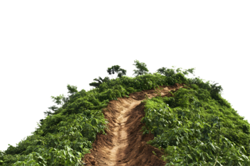 Realistic Image of a Winding Dirt Path Cutting Through a Lush Green Hillside with Transparent Background Under Sunny Weather Conditions Creating a Natural Landscape