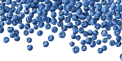 Transparent Background of Blueberries Fresh Fruits Ingredients Healthy Isolated Antioxidant Heap Falling Cutout Design Elements for Seasonal Flavor