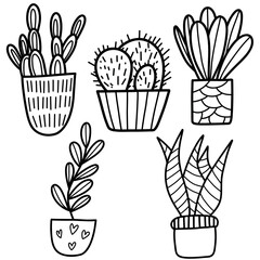 Hand-Drawn Cactus and Succulent Illustrations in Stylish Decorative Pots