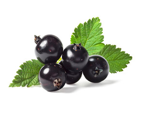Blackcurrant berries with green leaves fresh organic fruit on a transparent background 