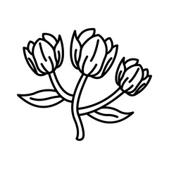 Tulips Icon